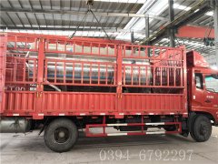 WNS2燃气蒸汽心博(中国)