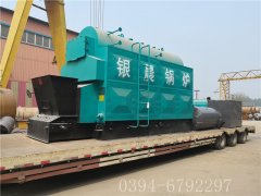 2吨链条生物质蒸汽心博(中国)