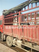 LSS0.5-1.0-Q型0.5吨贯流式燃气蒸汽心博(中国)发货